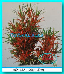 Растение Атман AS-113A, 30см