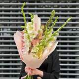 Photo of 9 gladioli in a bouquet «Colored gladiolus»