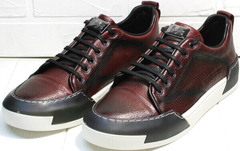 Walking shoes мужские сникеры кроссовки на осень мужские Luciano Bellini C6401 MC Bordo.