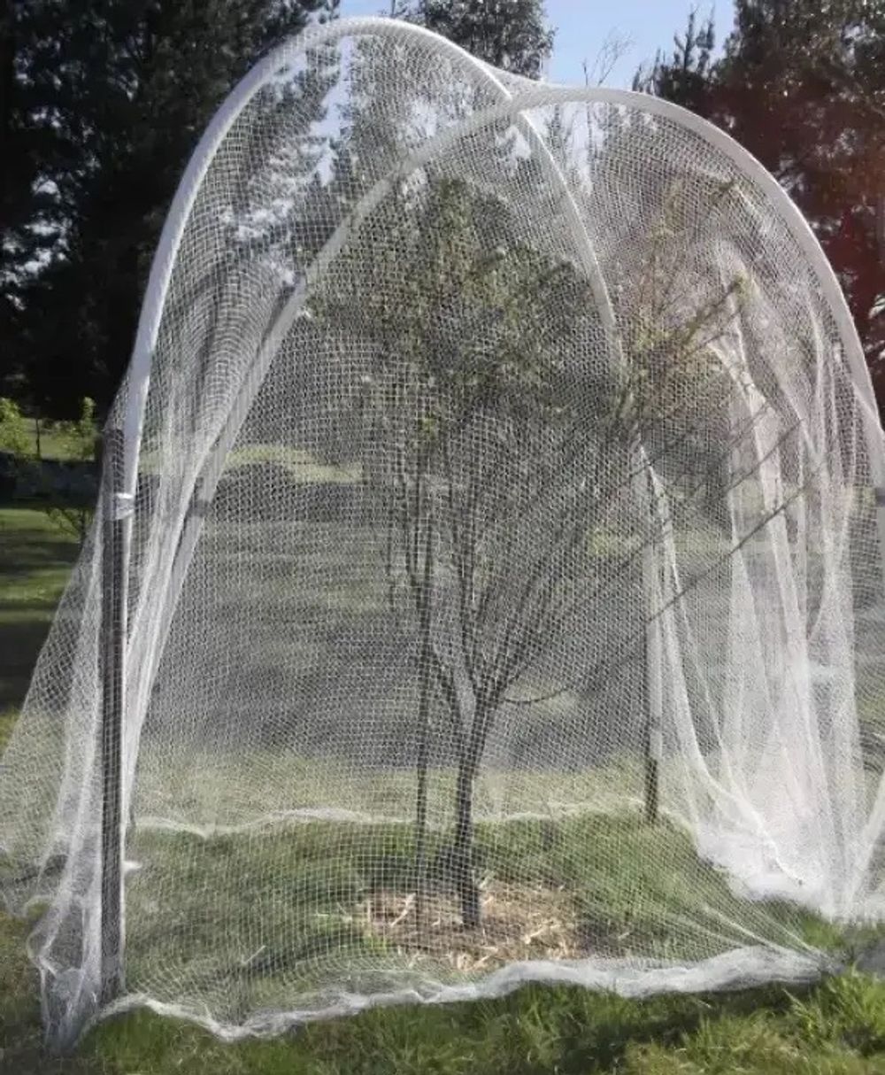 Защитная сетка от птиц 5х6 м (20х20мм). Белая. уф-стабилизированная