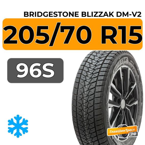 Bridgestone Blizzak DM-V2 205/70 R15 96S