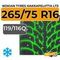 Nokian Tyres Hakkapeliitta LT3 265/75 R16C 119/116Q