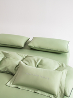 Комплект постельного белья Однотонный Сатин Элитный OCE012