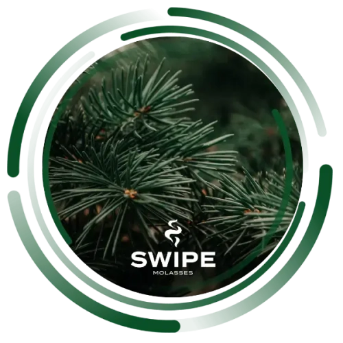 Бестабачная Смесь Swipe Easy Needles (Свайп Хвоя) 50г