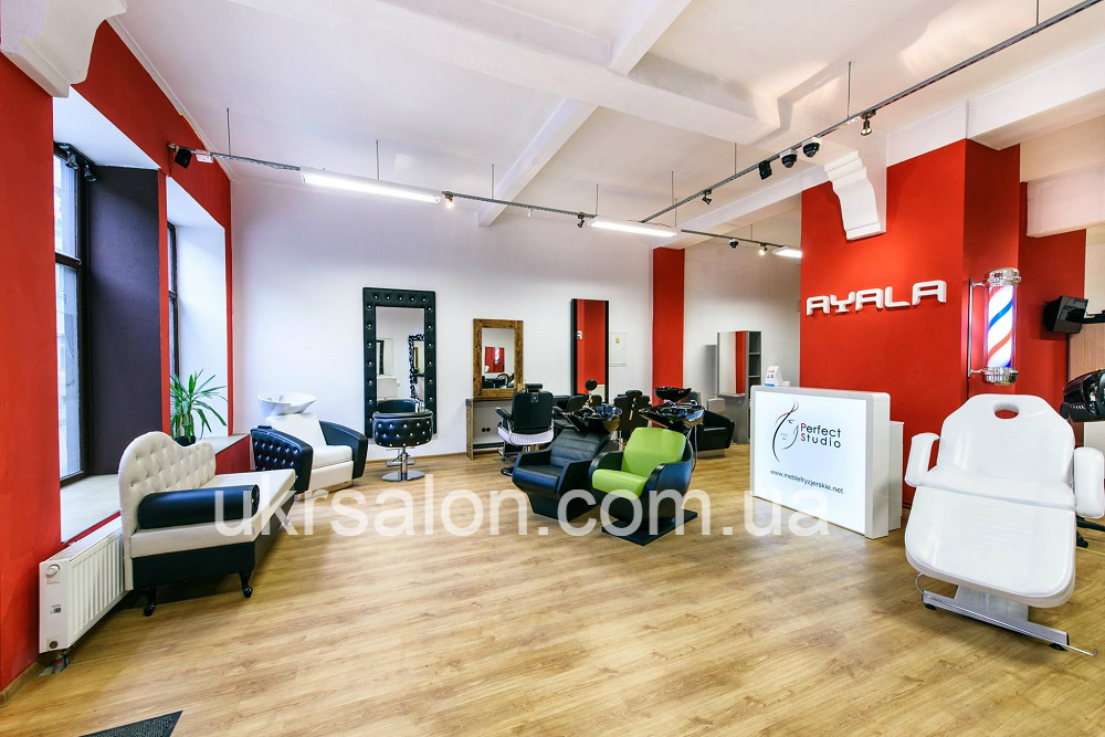 Кресло-мойка THOMAS