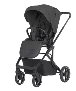 Прогулянкова коляска Carrello Alfa CRL-5508 BF