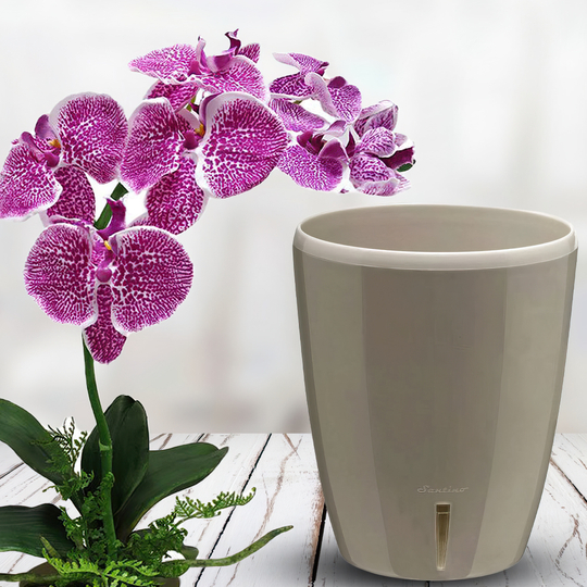 Горщик-орхідейниця для квітів з автополивом "ORHIDEA TWIN" 15*12,5 см пiсочний