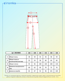 Брюки чорні для дівчинки (арт. 2822400201)