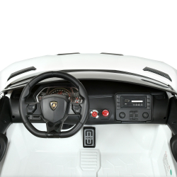 Детский двухместный электромобиль спорткар Lamborghini (Ламборгини) M 4788EBLR (24V)