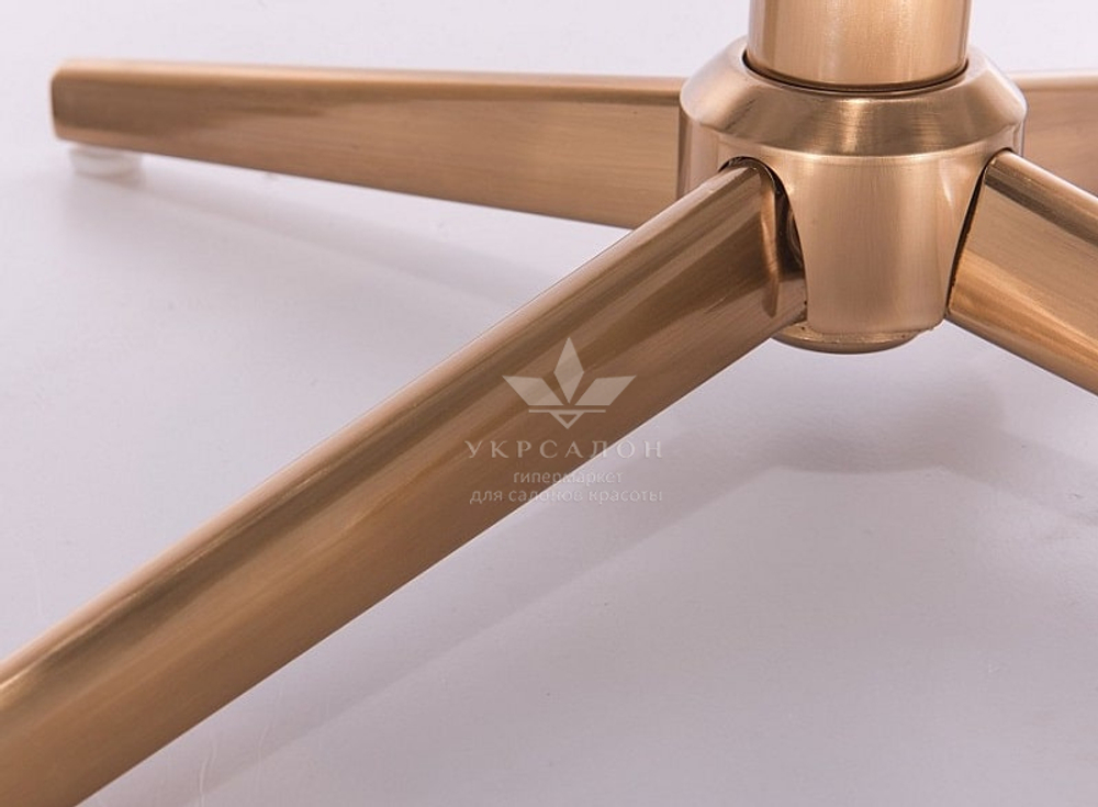 Стільчик клієнта Paris Velor gold cross