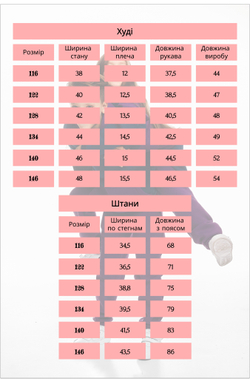 Дитячий спортивний утеплений костюм Kindamor Active Heat Grey/Purple, фліс для хлопчика