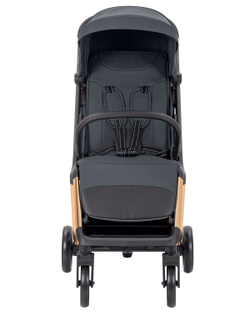 Прогулянкова коляска Carrello Cross CRL-5523