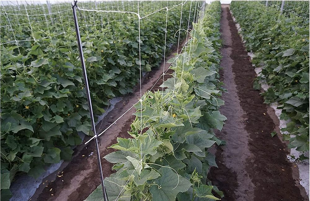 Огуречная, шпалерная сетка белая 1.7х500 м ТМ"Shadow" (Чехия)