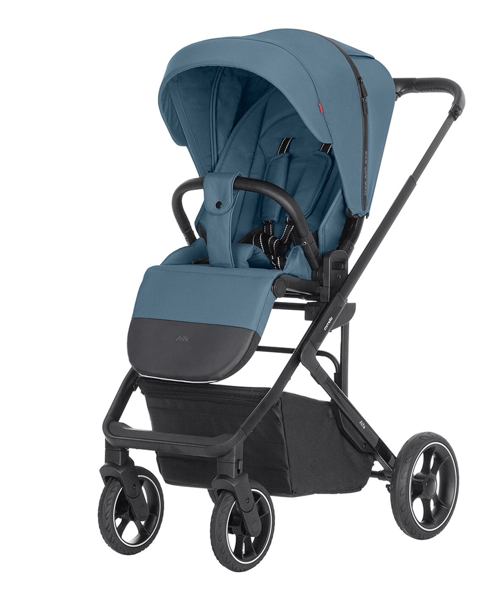 Прогулянкова коляска Carrello Alfa CRL-5508 BF