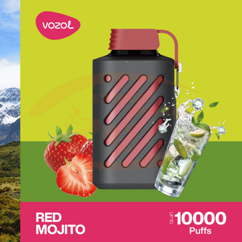 VOZOL GEAR 10000 Red Mojito 5% nic
