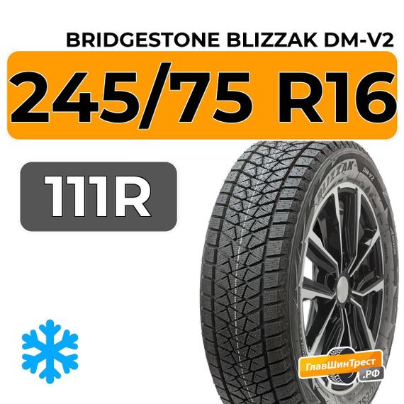 Bridgestone Blizzak DM-V2 245/75 R16 111R
