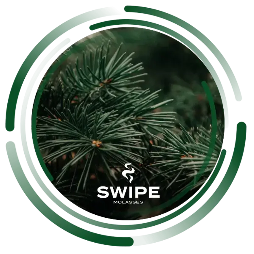 Бестабачная Смесь Swipe Easy Needles (Свайп Хвоя) 50г