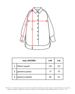 Сорочка оверсайз біла з орнаментом віола жіноча (арт. 4252200102)