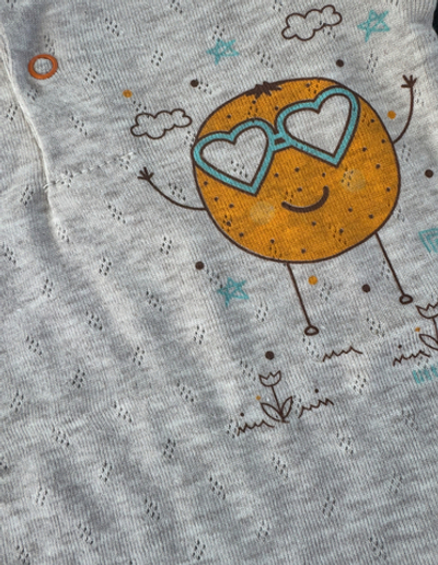 Пісочник, рібана трансфер ТМ "LP"