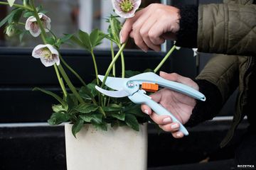 Секатор Fiskars Inspiration Lucy (1003664/111257)