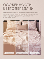 Покрывало двухстороннее Aurora Veil PAV002