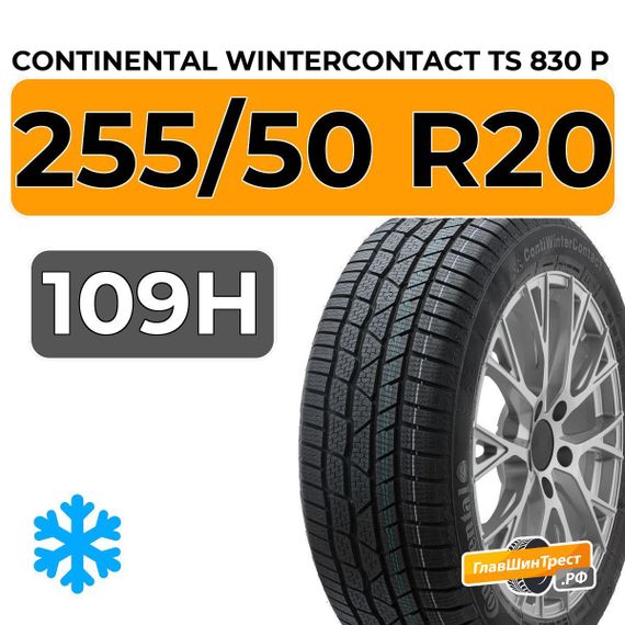 Continental WinterContact TS 830 P 255/50 R20 109H XL
