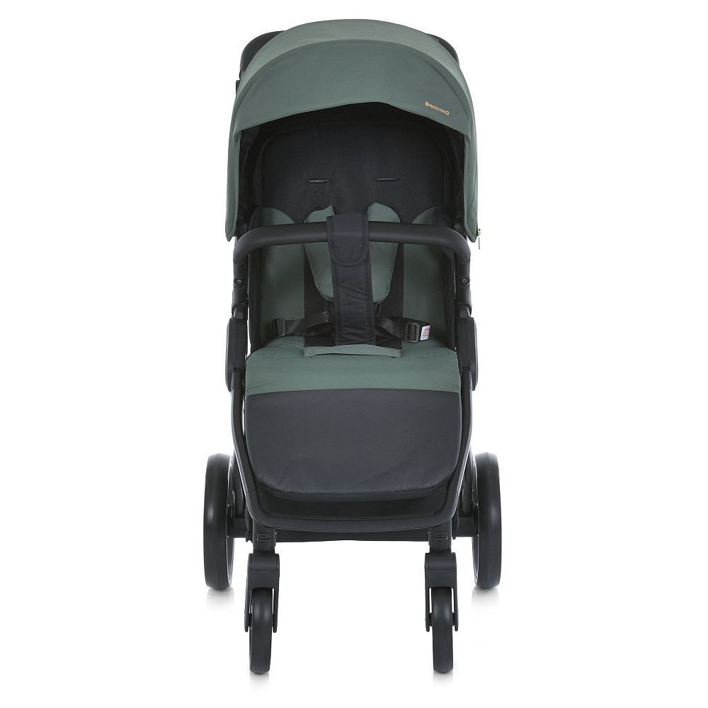 Прогулянкова коляска El Camino ME 1053-3 Dynamic Pro