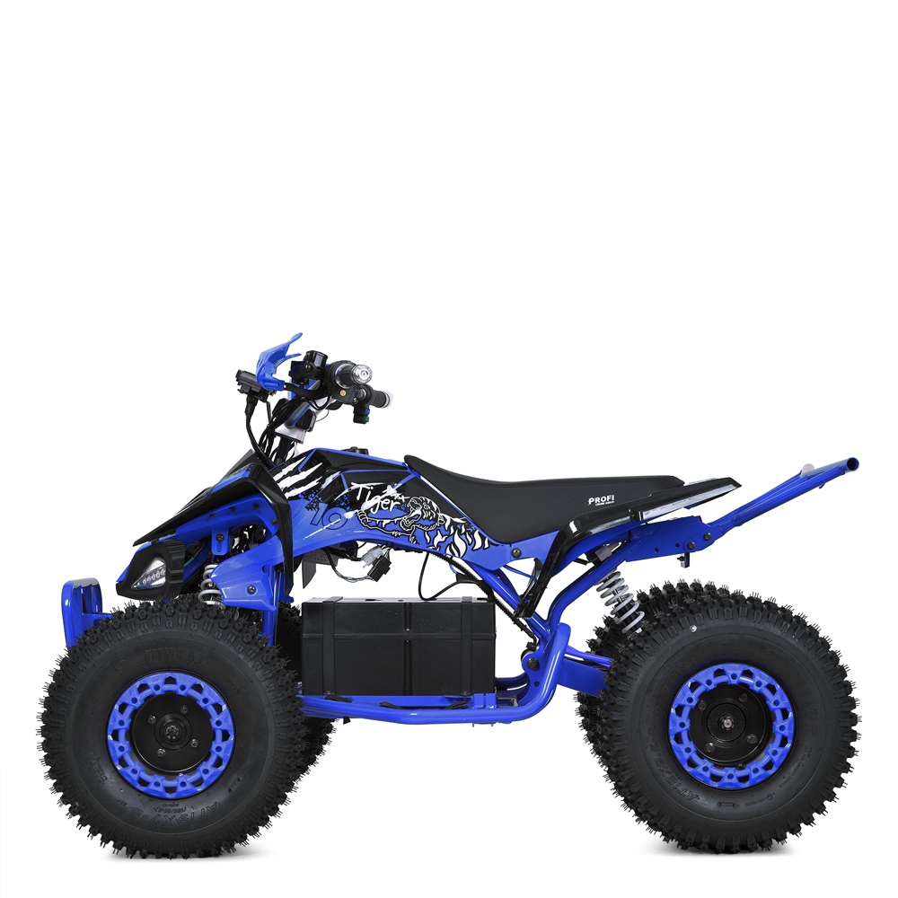 Детский/подростковый электроквадроцикл Prof1 HB-EATV1000B(MP3)