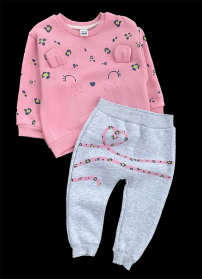 Костюм 2в1, трьохнитка з начосом: світшот, штани "Iggy" (86 см)