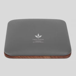 Подлокотник для маникюра Bioniqa Elbowpad, grey
