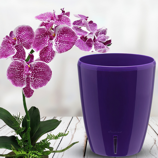 Горщик-орхідейниця для квітів з автополивом "ORHIDEA TWIN" 20х16,7см фіолетовий