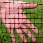 Сетка от кротов. Вольерная 1,5х100м. ячейка 12х14мм.