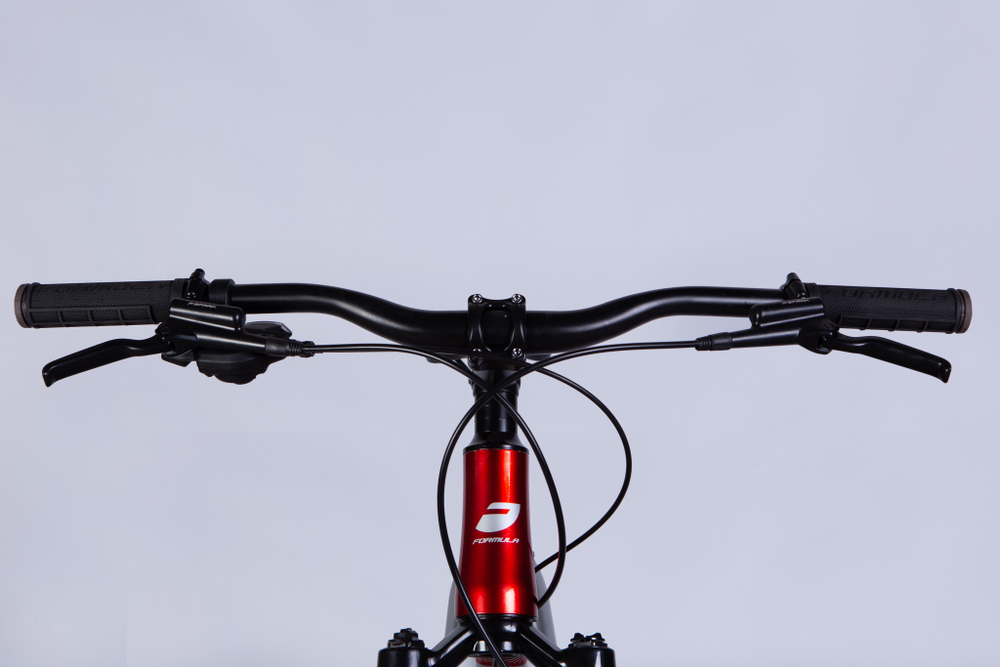Велосипед горный алюминиевый 29 дюймов Formula Zephyr 1.0 DD CS 2024, рама 21"
