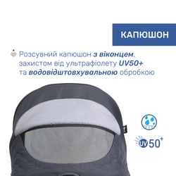 Универсальная коляска 2 в 1 Chicco Seety