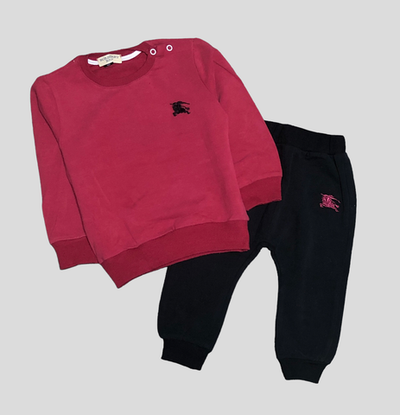 Костюм 2в1: світшот, штани, мікровелюр ТМ "Burberry brit"