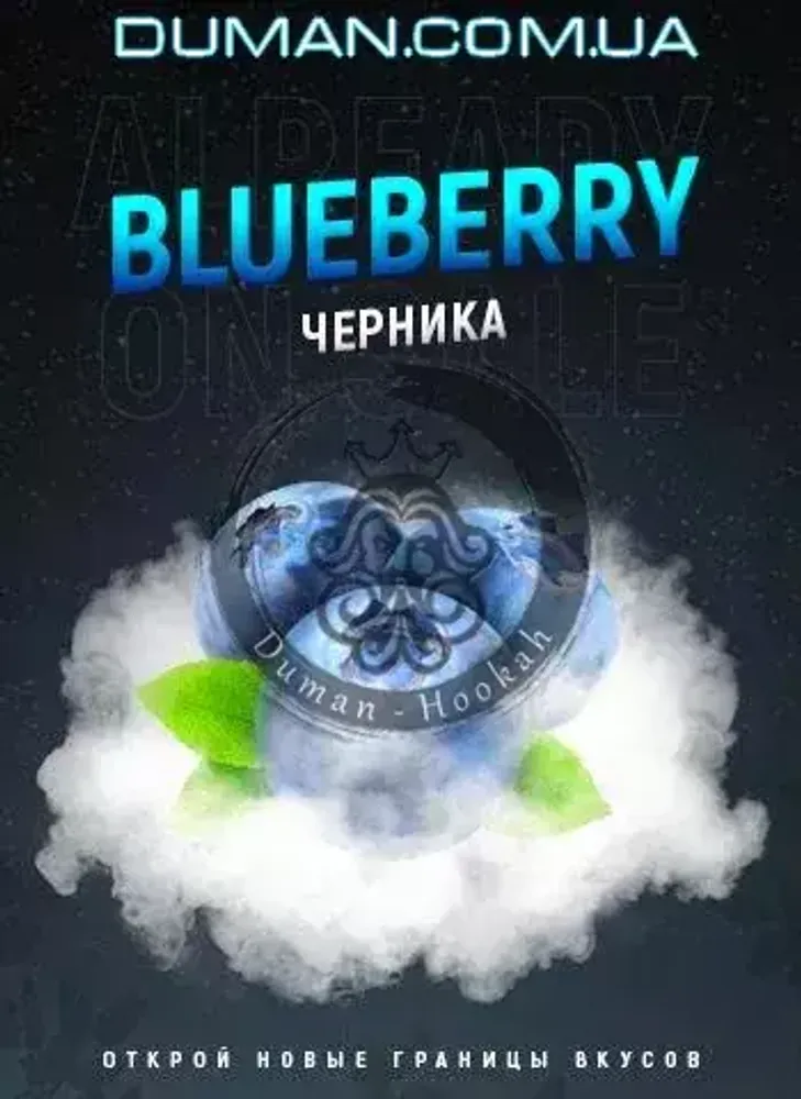 4:20 Blueberry (4:20 Черника) 100г