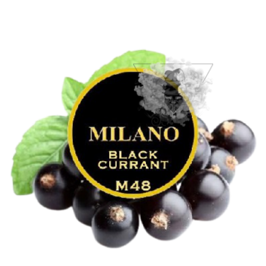 Табак Milano M48 Black Currant (Милано Черная Смородина) 100г