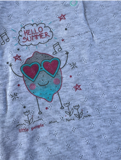 Пісочник, рібана трансфер ТМ "LP"