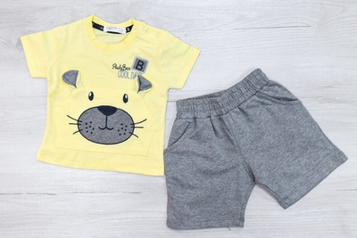 Костюм 2в1: футболка, шорти, бавовна, двунитка ТМ "Breeze"