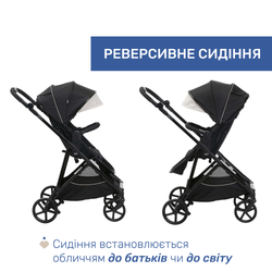 Универсальная коляска 2 в 1 Chicco Seety
