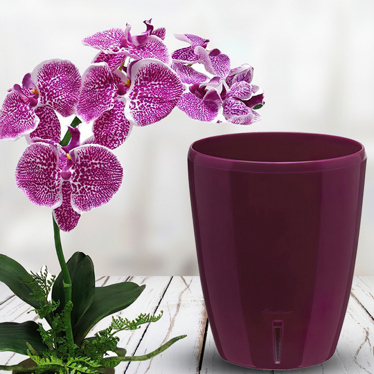 Горщик-орхідейниця для квітів з автополивом "ORHIDEA TWIN" 20х16,7см пурпурний
