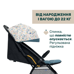 Прогулянкова коляска Chicco Glee