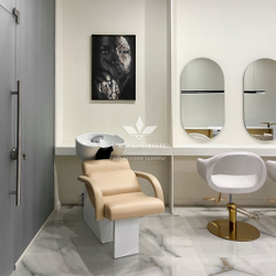 Парикмахерская мойка Shelley One White