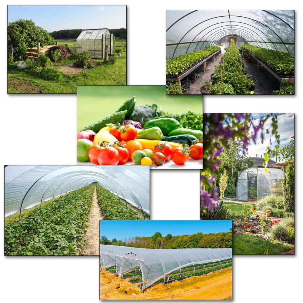 Пленка тепличная 120мкм, 6м/50м. 24 месяца уф- стабилизатор. Зеленая.