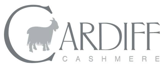 CARDIFF (Италия)