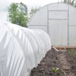 Пленка тепличная (белая), 100мкм, 3м/100м. Прозрачная (парниковая, полиэтиленовая)