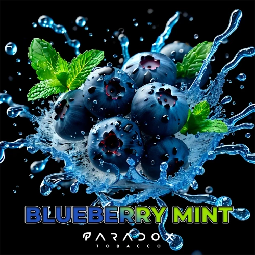 Тютюн Paradox Blueberry Mint (Парадокс Чорниця М'ята) 50г