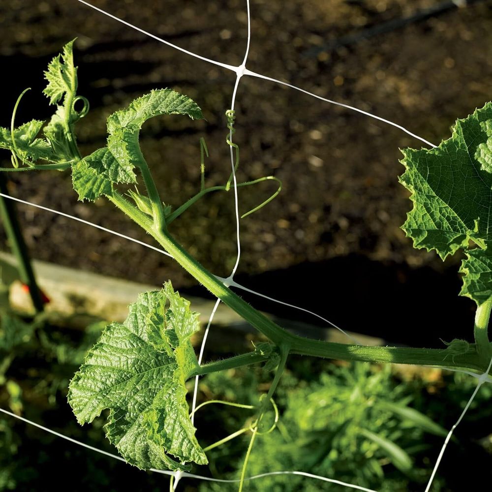 Огуречная, шпалерная сетка белая 1.7х500 м ТМ"Shadow" (Чехия)