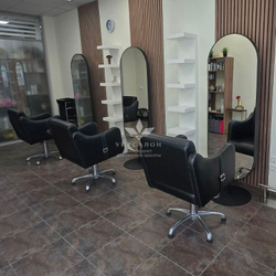 Зеркало Shkoda