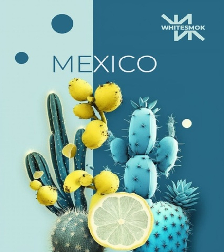 Табак White Smok MEXIKO (Вайт Смок Мехико | Кактус Лайм) 50г
